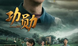 功勋电视剧剧情介绍,致敬英雄，谱写时代辉煌篇章