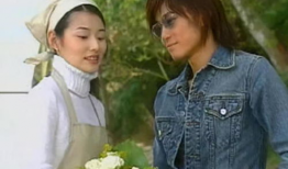 薰衣草电视剧主题曲