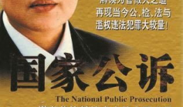 电视剧国家公诉,正义与权力的较量