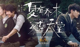 夏有乔木雅望天堂电视剧,青春爱情的浪漫交响曲