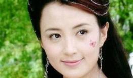 冯丽丽演过的电视剧,从荧幕小花到实力派演员的蜕变之路